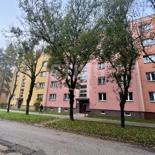 Prodej bytu 2+1 57 m² Karviná, Na Kopci