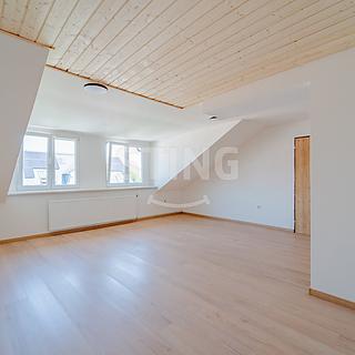 Prodej bytu 1+kk, garsoniery 46 m&sup2; Krnov