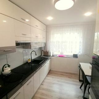 Prodej bytu 2+1 52 m² Opava, Polská