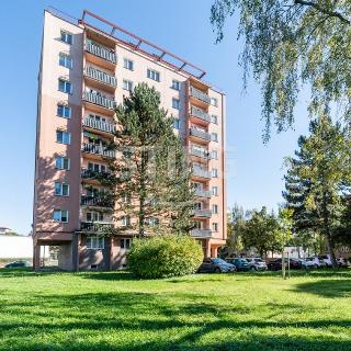 Prodej bytu 1+kk a garsoniéry 24 m² Rožnov pod Radhoštěm, 1. máje