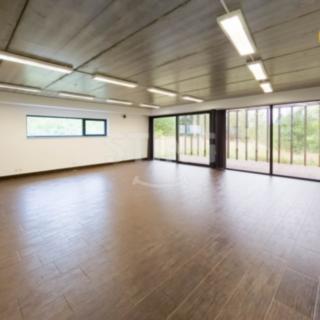 Prodej ostatního komerčního prostoru 223 m² Český Těšín
