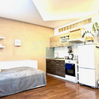 Pronájem bytu 1+kk a garsoniéry 30 m² Hodonín, Legionářů