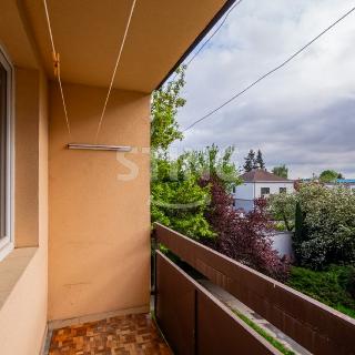 Prodej bytu 4+1 97 m² Opava, Jasná