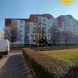 Pronájem bytu 2+1 76 m² Olomouc, Handkeho