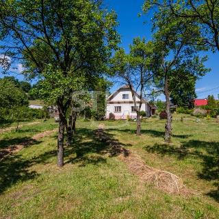 Prodej rodinného domu 300 m² Staré Těchanovice