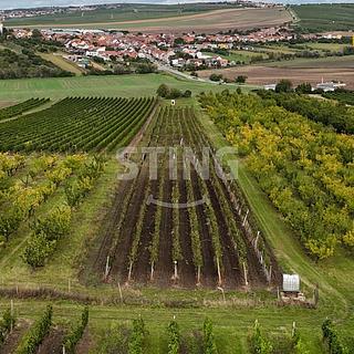 Prodej ostatních pozemků 5412 m&sup2; Velké Pavlovice