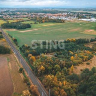 Prodej zemědělské půdy 12546 m&sup2; Srnojedy