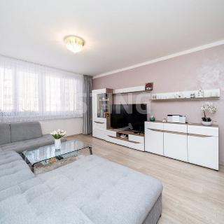 Prodej bytu 3+1 68 m² Ostrava, Jaroslava Misky