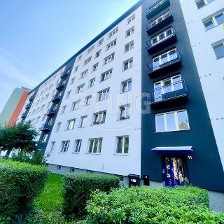 Prodej bytu 2+1 53 m² Ostrava, Hlavní třída