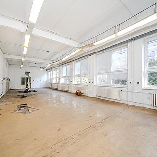 Pronájem Ostatních komerčních prostor 556 m&sup2; Paskov