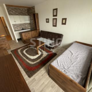 Prodej bytu 1+kk a garsoniéry 28 m² Ostrava Výškovice, Lumírova