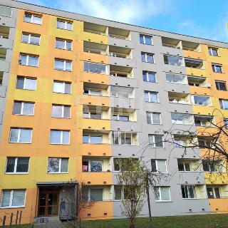 Prodej bytu 2+1 58 m² Přerov, U Tenisu