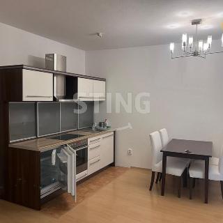 Pronájem bytu 2+kk 55 m² Ostrava, Michálkovická