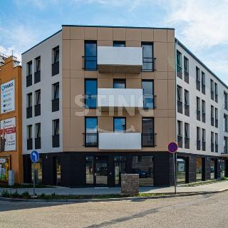 Prodej bytu 3+kk 104 m² Prostějov, Mlýnská