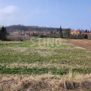 Prodej stavební parcely 978 m² Buk