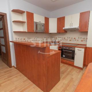 Pronájem bytu 1+1 45 m² Frýdek-Místek, Bezručova