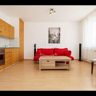 Pronájem bytu 1+kk, garsoniery 37 m&sup2; Ostrava