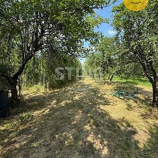 Prodej zahrady 3628 m² Strážnice