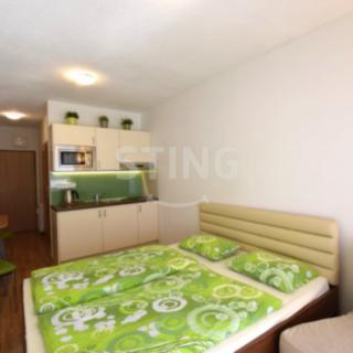 Pronájem bytu 1+kk, garsoniery 24 m² Všemina