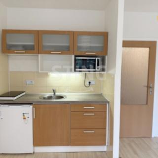 Pronájem bytu 1+kk a garsoniéry 27 m² Ostrava Vítkovice, Na Obvodu