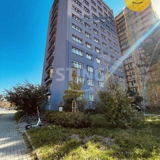 Pronájem bytu 3+1 64 m² Ostrava, Zelená