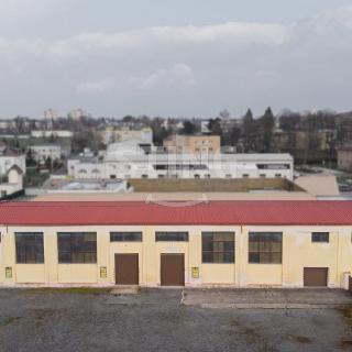 Pronájem skladu 1 072 m² Hlučín, Opavská