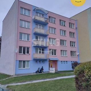 Prodej bytu 2+1 64 m² Borovany, Nová