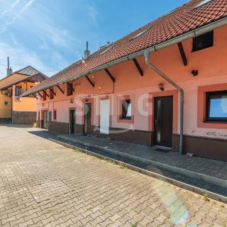 Prodej bytu 2+1 105 m² Sobětuchy