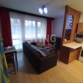 Pronájem bytu 2+kk 52 m² Třinec, Lidická