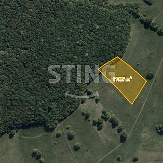 Prodej louky 11087 m&sup2; Hrubá Vrbka