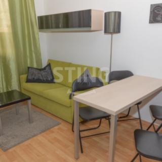 Pronájem bytu 1+kk a garsoniéry 30 m² Brno Zábrdovice, Francouzská