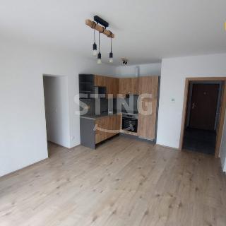 Pronájem bytu 1+kk a garsoniéry 35 m² Olomouc, Eduarda Hamburgera