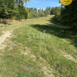 Prodej louky 8429 m&sup2; Pavlov