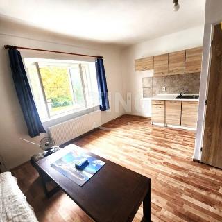 Prodej bytu 1+kk, garsoniery 24 m² Tovačov