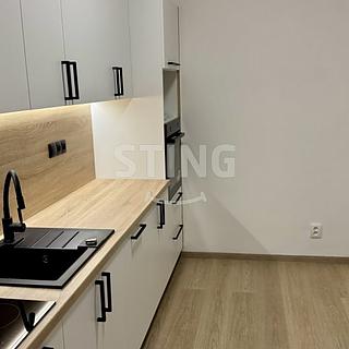 Pronájem bytu 2+1 52 m² Ostrava