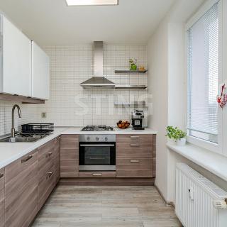 Prodej bytu 2+kk 54 m² Ostrava, Mongolská