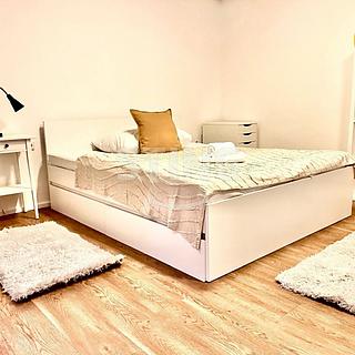 Pronájem bytu 1+kk, garsoniery 30 m&sup2; Ostrava