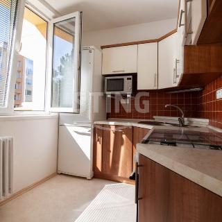 Pronájem bytu 1+1 33 m² Jihlava, Březinova