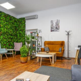 Pronájem obchodu 148 m² České Budějovice 3, Husova tř.