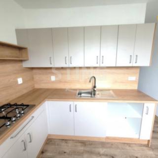 Pronájem bytu 2+1 53 m² Opava