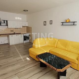 Prodej bytu 1+kk, garsoniery 33 m&sup2; Orlová