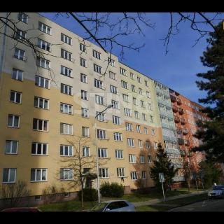 Pronájem bytu 3+1 64 m² Ostrava, Svojsíkova