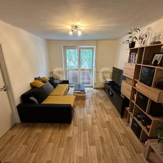 Pronájem bytu 2+1 60 m² Ostrava, Dvouletky