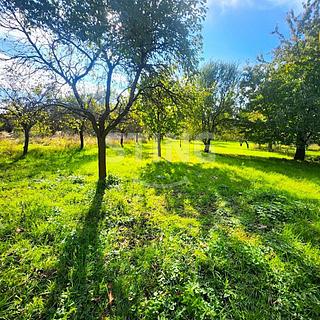 Prodej zahrady 2697 m&sup2; Osek nad Bečvou