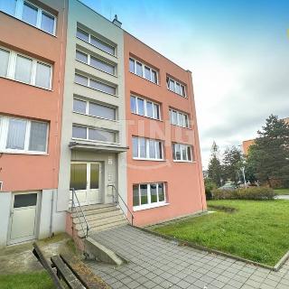 Pronájem bytu 3+1 70 m² Třebíč, Modřínová