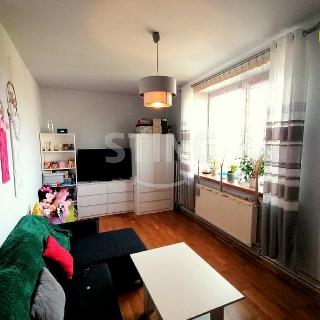 Prodej bytu 2+1 53 m² Opava, Polská