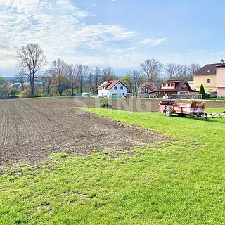 Prodej stavební parcely 6040 m&sup2; Opava