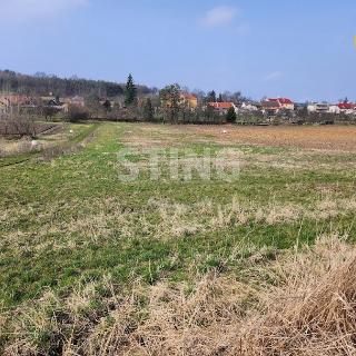 Prodej stavební parcely 978 m² Buk