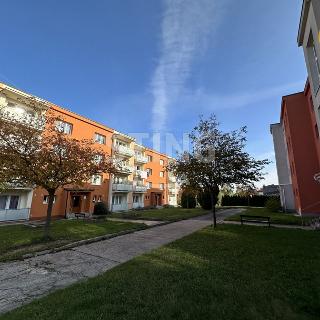 Prodej bytu 1+kk a garsoniéry 29 m² Třebíč, Divišova