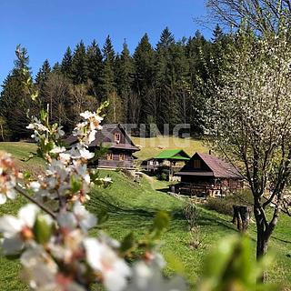 Prodej Ostatních RD 2989 m&sup2; Hutisko-Solanec